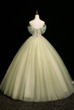 Mint Green Off-the-Shoulder Tulle Ball Gown with 3D Floral Appliques HZ0429