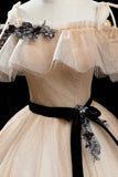 Champagne Tulle Long Prom Dresses, A-Line Princess Evening Dress HZ0429