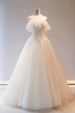 Champange Tulle Long Prom Dress, A-Line Evening Dress HZ0429