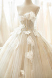 Champagne Tulle Lace Long Formal Dress, A-Line Evening Gown HZ0429