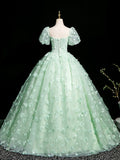 Green Tulle Long Prom Dress with Butterfly, Beautiful A-line Short Sleeve Evening Dress HZ0429