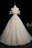 Champagne Tulle Beads Long Prom Dress, Beautiful A-Line Formal Party Dress HZ0429