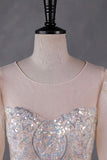 Champagne Tulle Sequins Long Prom Dress, A-Line Long Sleeve Evening Party Dress HZ0429